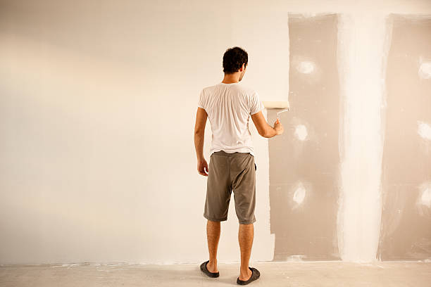 Best Wallpaper Removal and Painting  in Louisburg, KS